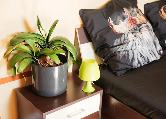 Apartment - 3-bedroom Luxury: Central & Spacious In & Big Tv And Kitchen - *